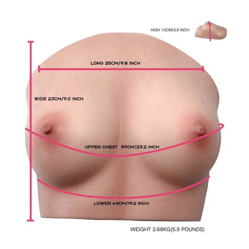 Realistic female torso with detailed measurements, soft skin texture, natural breast shape, and lifelike contours for intimate use.