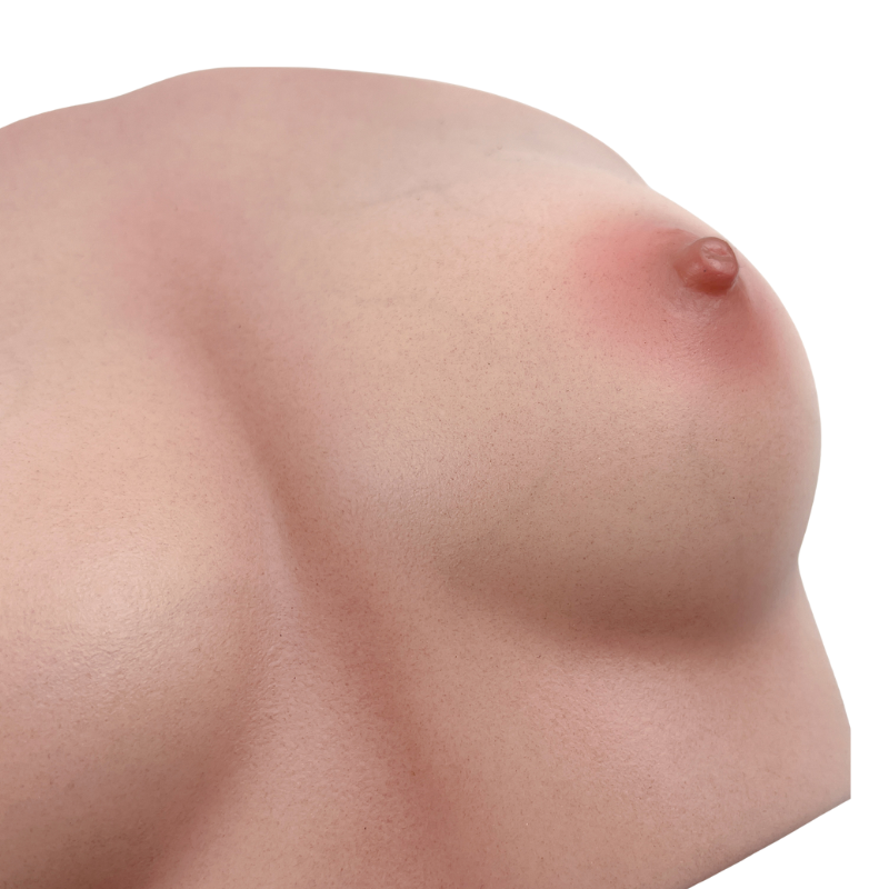 Realistic female breast with natural skin texture and subtle areola detail, designed for lifelike tactile experience.