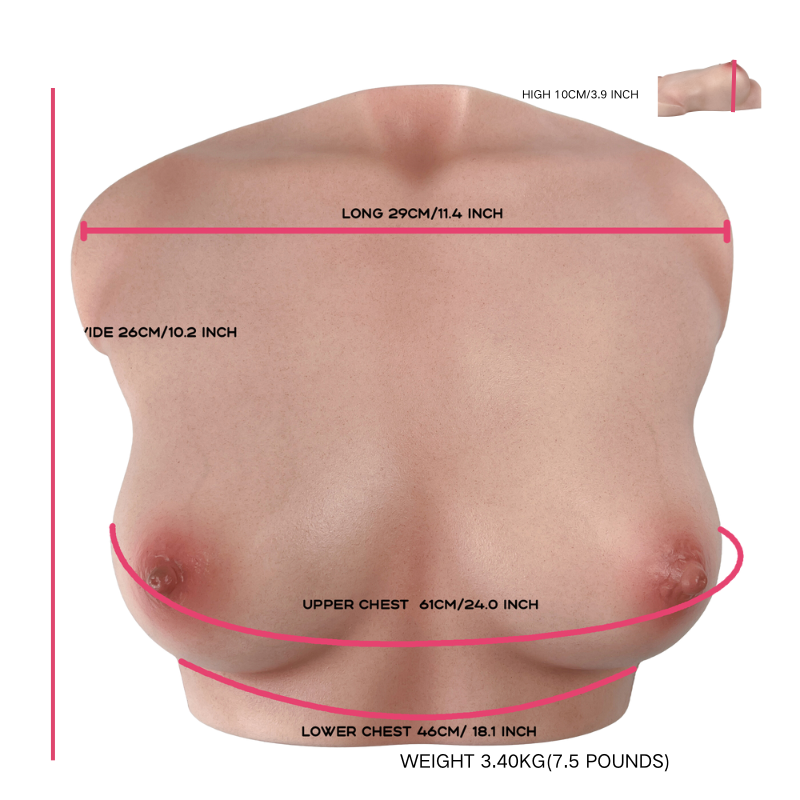 Realistic female torso with detailed skin texture, natural curves, and precise measurements shown for fit and size.