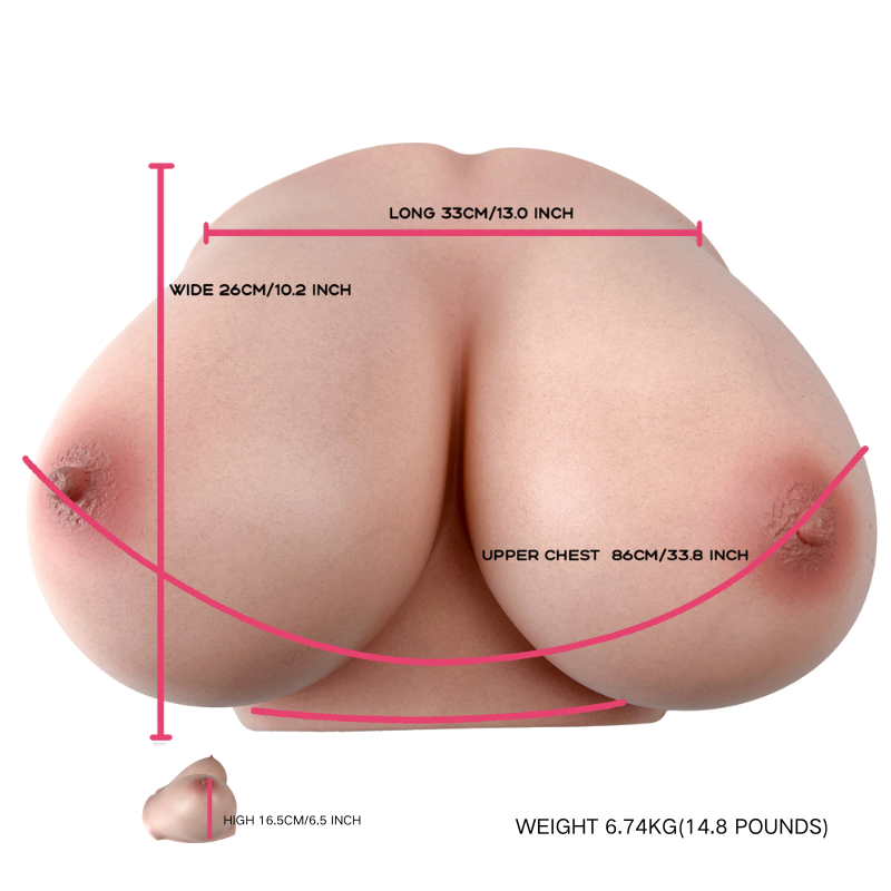 Realistic female torso with detailed skin texture, natural curves, and precise measurements shown for size reference